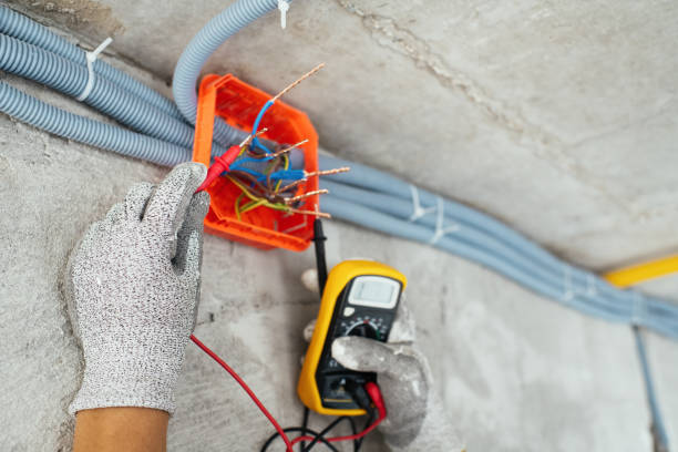 Best Electric Panel Repair  in Dell Rapids, SD